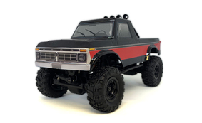 MSA-1E 1/24 Scale Ford F-150 4WD RTR