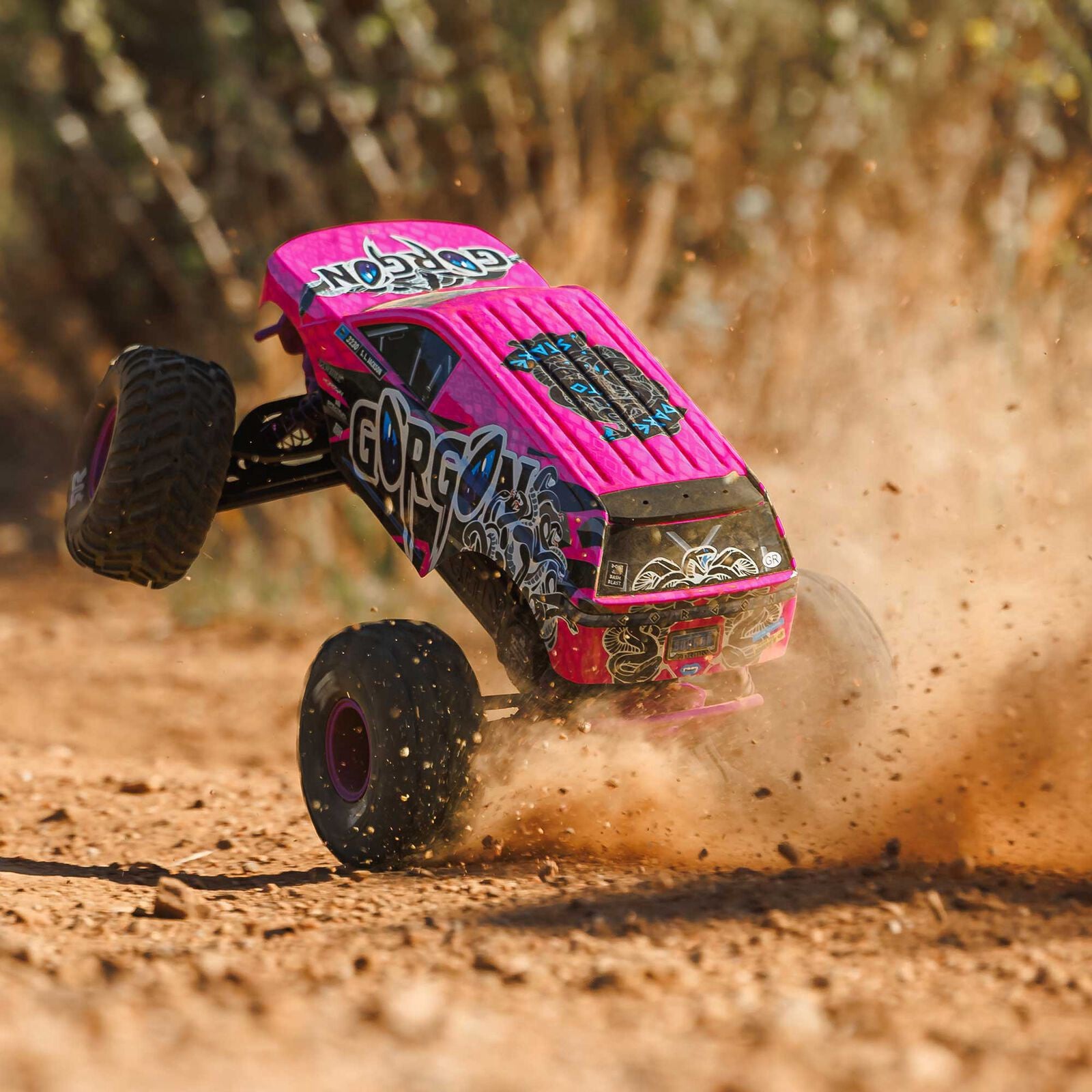 1/10 GORGON 223S 2WD RTR Brushless Monster Truck