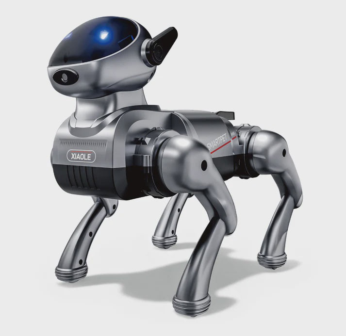 Robot Dog
