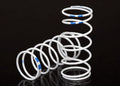 1/10 Long GTR Springs (0.892-Rate Blue Stripe)