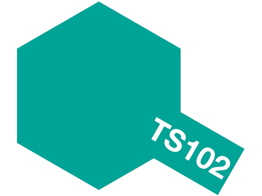 TS Spray Paint 100ml Can